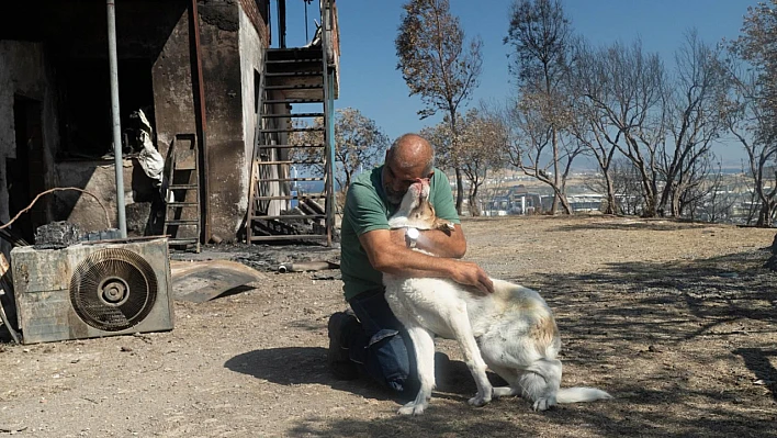 Yangından kurtarılan 'Kaptan'a sıcak yuva