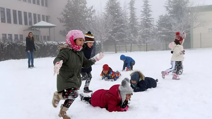 Yoğun kar yağışı 4 ilde eğitimi durdurdu: İşte tatil olan iller