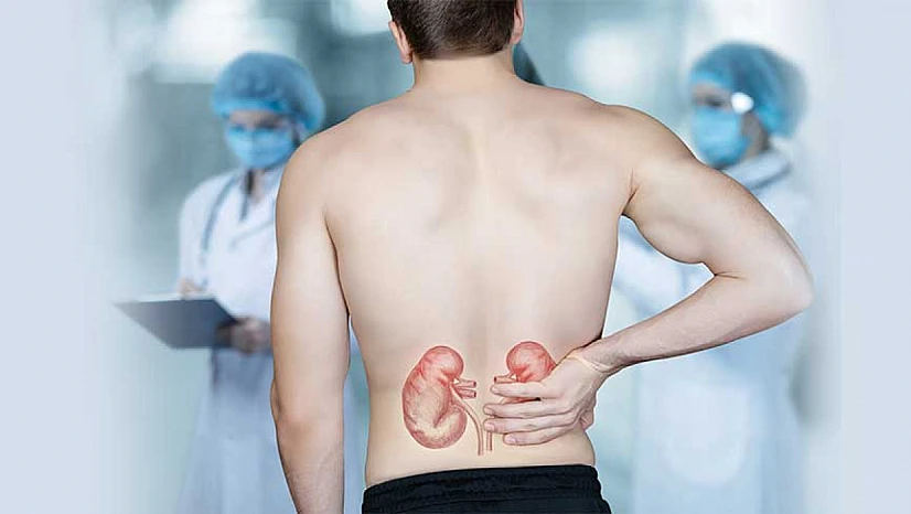 Böbrek taşına karşı 8 etkili yöntem! Uzmanı açıkladı