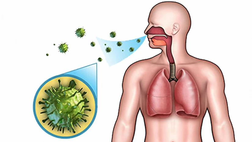 Çocuk bağışıklığında mucize sofrada: Takviyeler tek başına yeterli değil