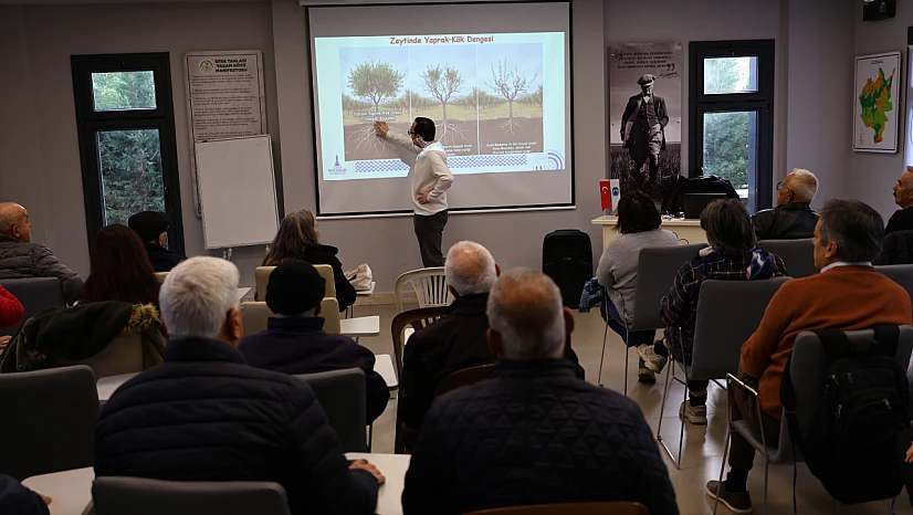 Efes Selçuk'ta üreticilere yönelik zeytin Budama Eğitimi Gerçekleştirildi