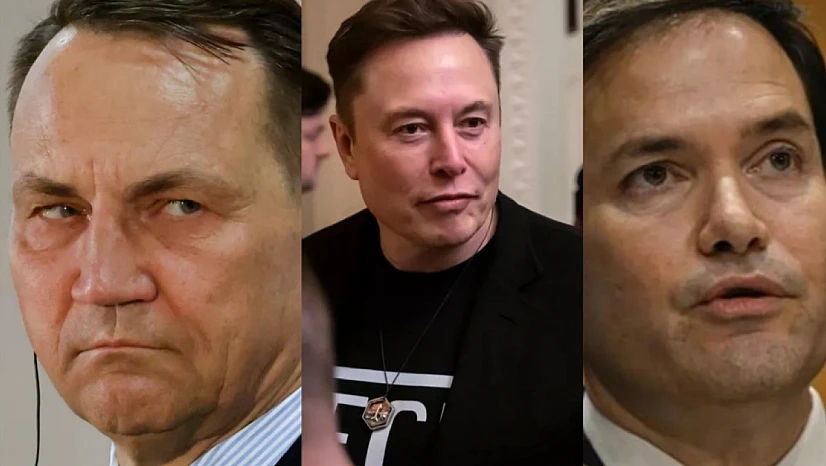 Elon Musk'tan Polonya Bakanına: 'Sessiz ol, küçük adam'