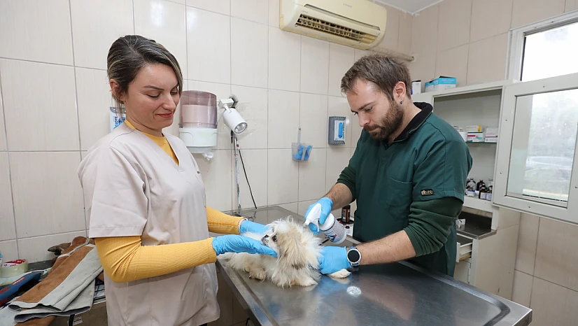 Gaziemir Belediyesi 2025'te 6 Bin 222 can dostun yaşamına dokundu