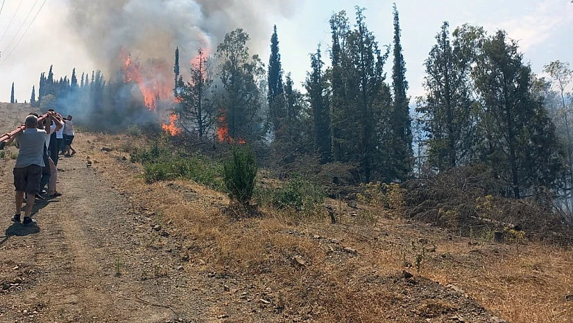 Gökdere'de orman yangını