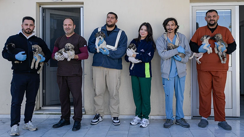 İzmir Büyükşehir Belediyesi, Menemen yangınından kurtarılan hayvanlara sahip çıktı