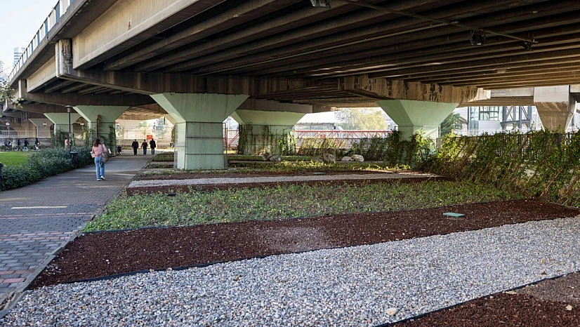 İzmir'de 80 futbol sahası büyüklüğünde Kurakçıl peyzaj dönüşümü tamamlandı