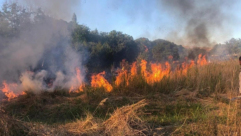 Malatya Doğanyol'da orman yangını: Müdahale sürüyor