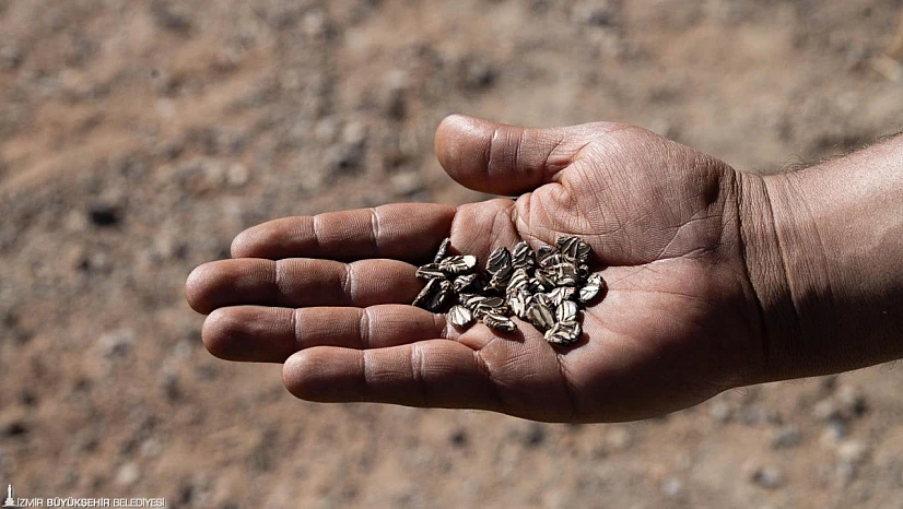 Minik eller toprakla buluştu: İzmir'de 'Tohumdan Sofraya' etkinliği büyük ilgi gördü