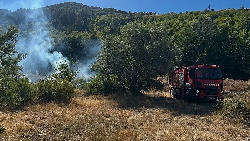 Pınarbaşı otobanında yangın