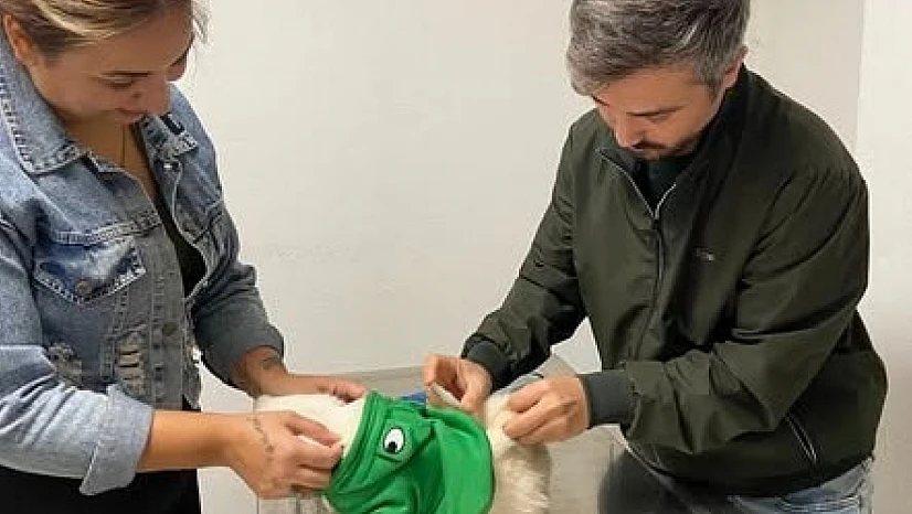 Tire İlçe Tarım ve Orman Müdürlüğü'nden evcil hayvan sahiplerine önemli uyarı