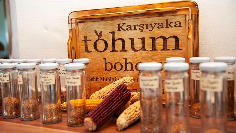 Tohum bohçasından Türkiye'nin dört bir yanına yerel tohum desteği