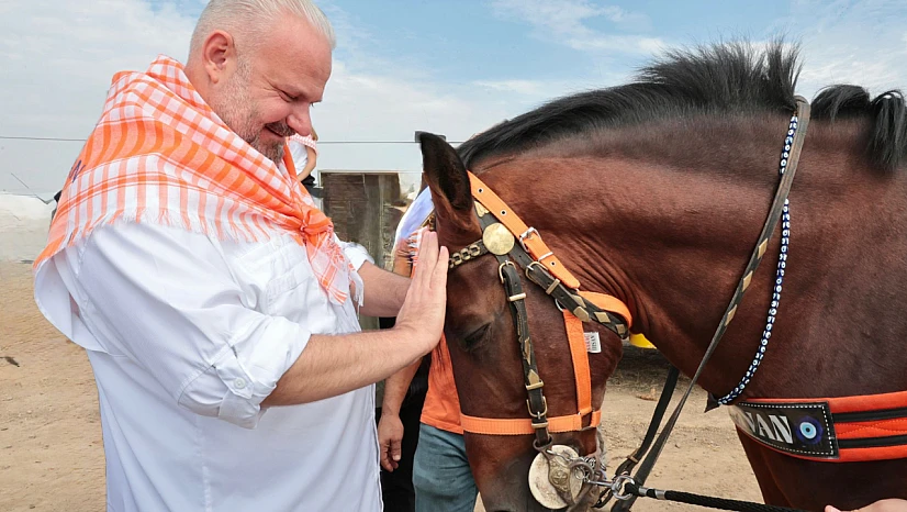 Türkiye'nin şampiyon atları Menemen'de yarıştı