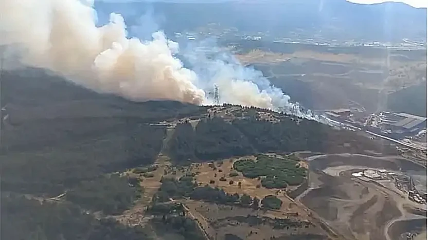 Aliağa'da orman yangını paniği