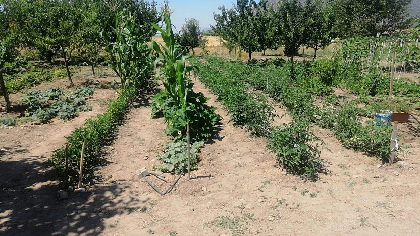 Efes Selçuk Belediyesi yerel tohumları üreticilerle buluşturmaya devam ediyor