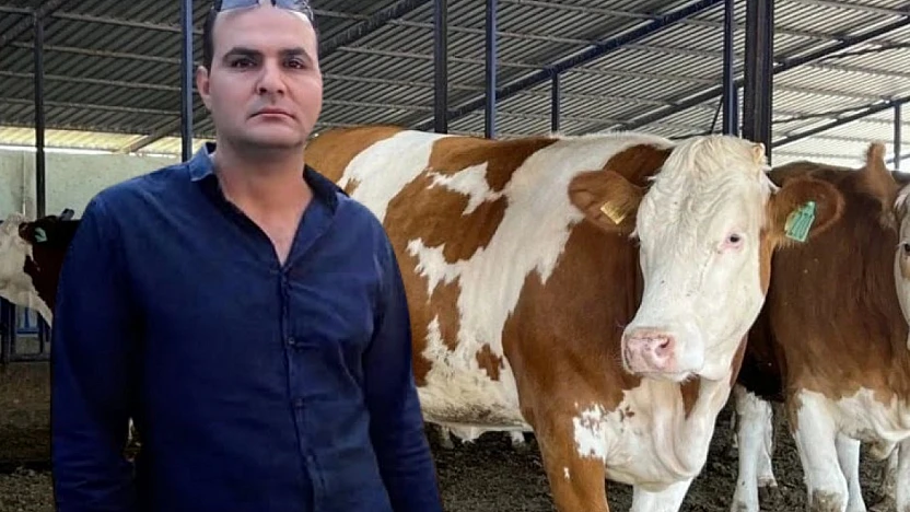 Menderes'te dananın saldırdığı adam hayatını kaybetti