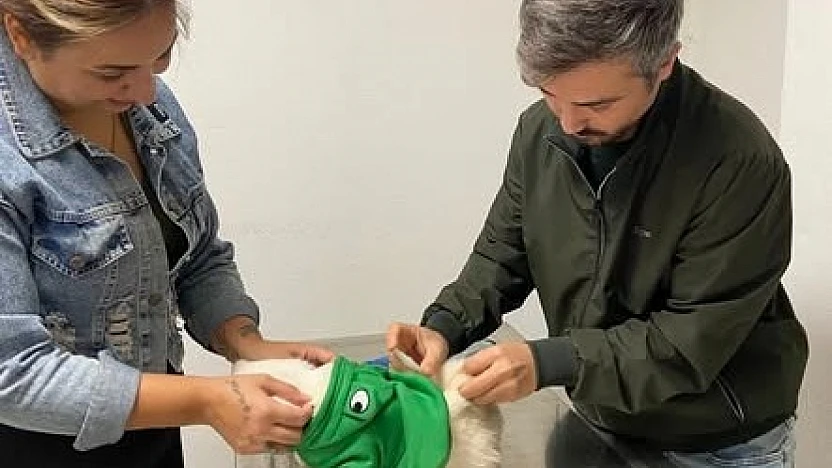 Tire İlçe Tarım ve Orman Müdürlüğü'nden evcil hayvan sahiplerine önemli uyarı