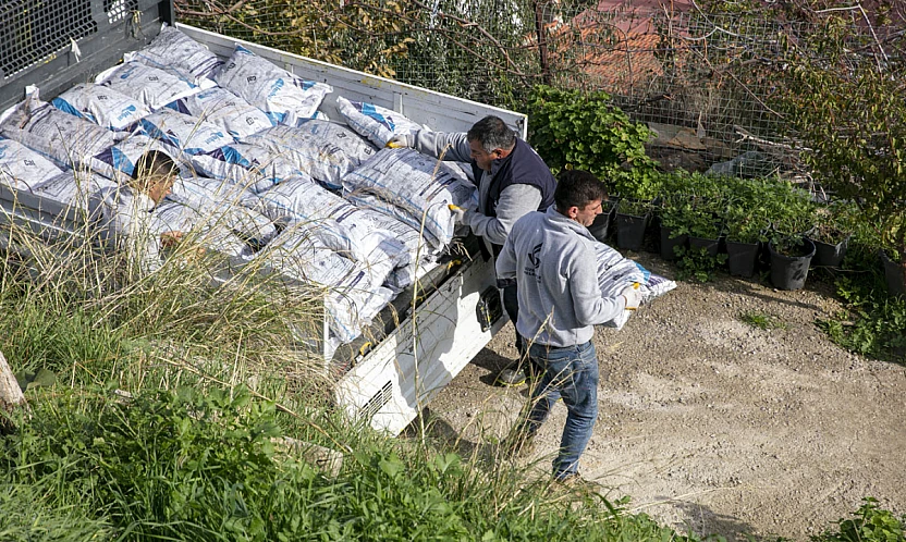 İhtiyaç sahibi ailelere kömür ve ısınma desteği sağlanıyor