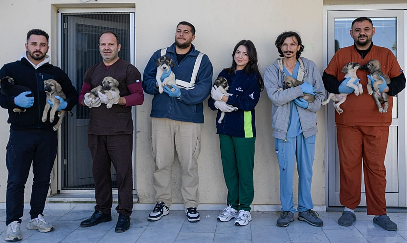 İzmir Büyükşehir Belediyesi, Menemen yangınından kurtarılan hayvanlara sahip çıktı