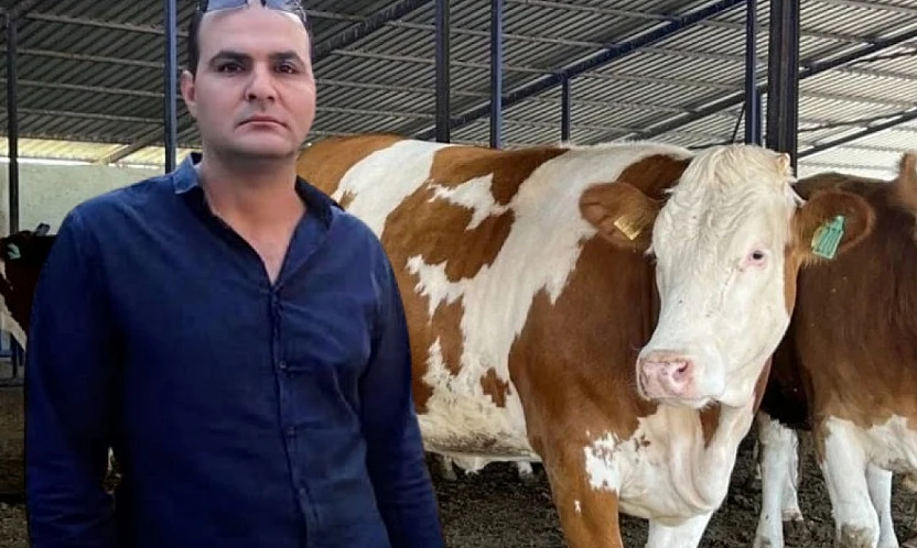 Menderes'te dananın saldırdığı adam hayatını kaybetti