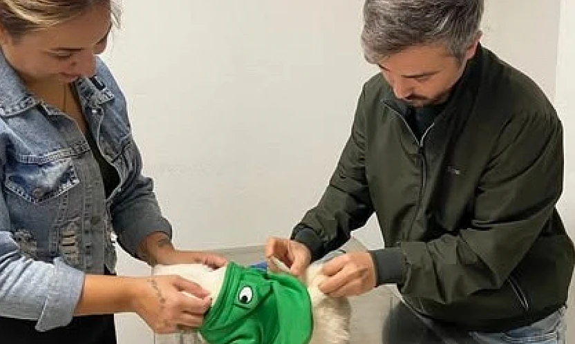 Tire İlçe Tarım ve Orman Müdürlüğü'nden evcil hayvan sahiplerine önemli uyarı